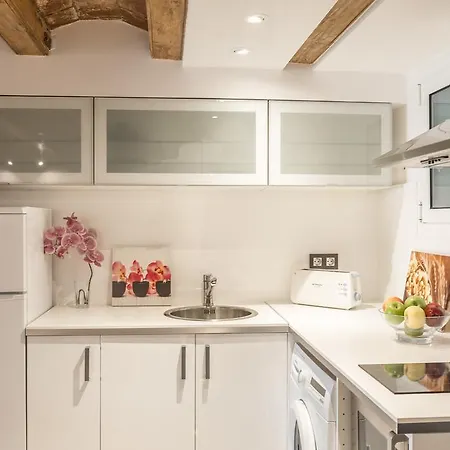 Center Two Bedrooms Apartment, In A 1870's Full Renewed Building *